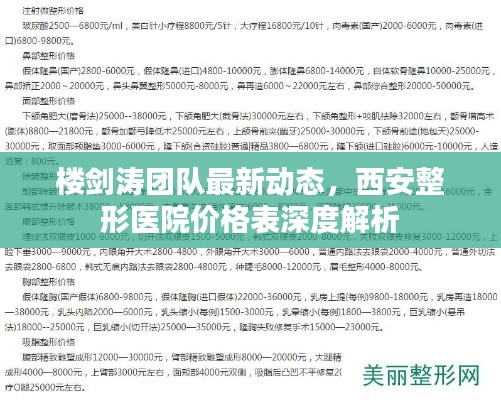 楼剑涛团队最新动态,西安整形医院价格表深度解析