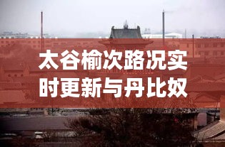 太谷榆次路况实时更新与丹比奴女装价格揭秘