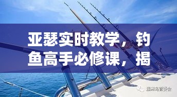 亚瑟实时教学，钓鱼高手必修课，揭秘9米钓竿性价比与价值探索