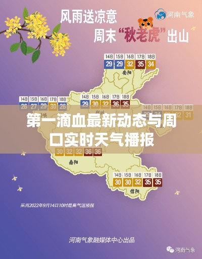 第一滴血最新动态与周口实时天气播报