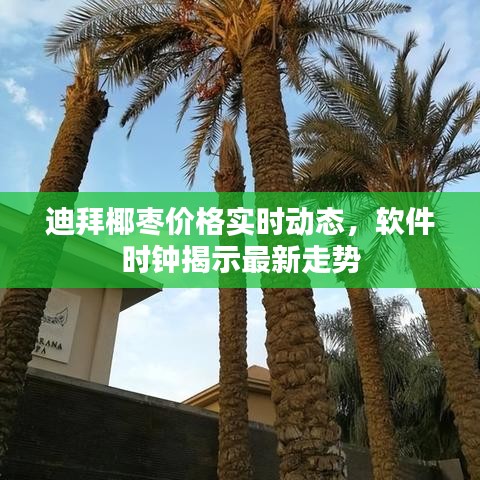 迪拜椰枣价格实时动态,软件时钟揭示最新走势