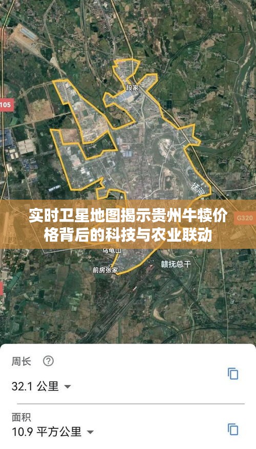 实时卫星地图揭示贵州牛犊价格背后的科技与农业联动