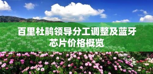百里杜鹃领导分工调整及蓝牙芯片价格概览