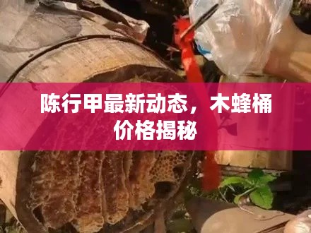 陈行甲最新动态,木蜂桶价格揭秘