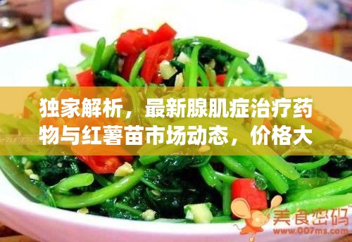 独家解析,最新腺肌症治疗药物与红薯苗市场动态,价格大揭秘!