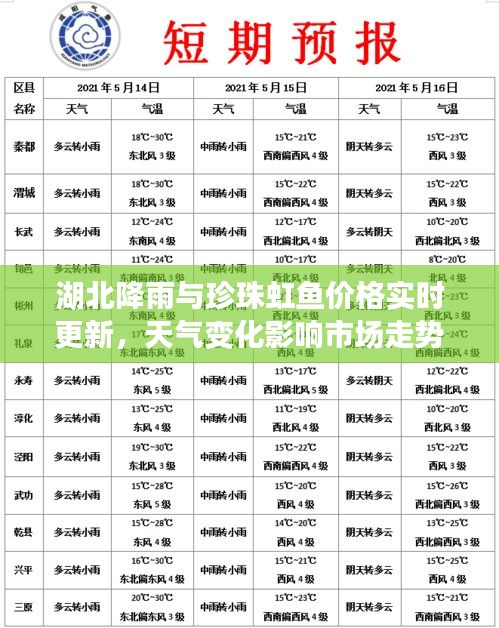 湖北降雨与珍珠虹鱼价格实时更新，天气变化影响市场走势？