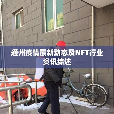 通州疫情最新动态及NFT行业资讯综述
