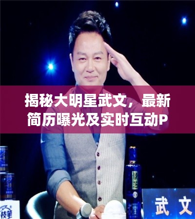 揭秘大明星武文,最新简历曝光及实时互动PPT展示