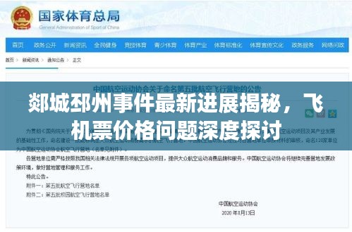 郯城邳州事件最新进展揭秘,飞机票价格问题深度探讨