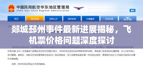 郯城邳州事件最新进展揭秘,飞机票价格问题深度探讨