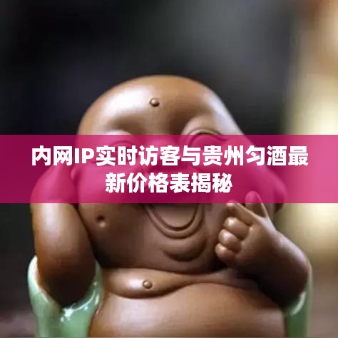内网IP实时访客与贵州匀酒最新价格表揭秘