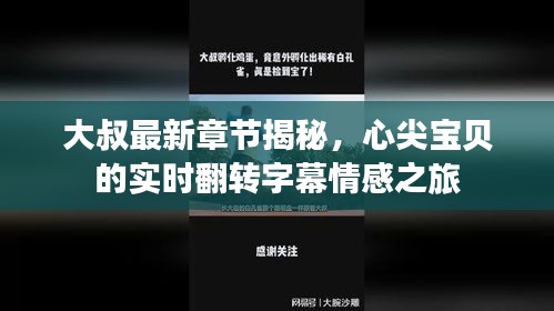大叔最新章节揭秘,心尖宝贝的实时翻转字幕情感之旅