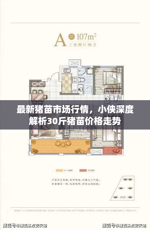 最新猪苗市场行情，小侠深度解析30斤猪苗价格走势