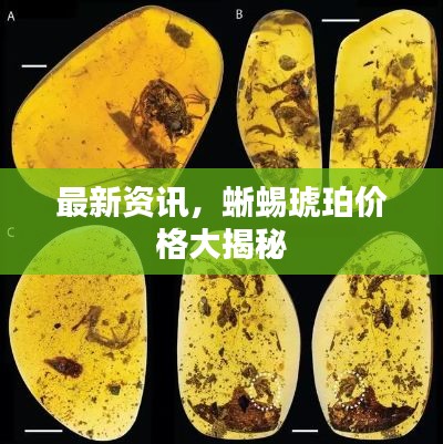 最新资讯,蜥蜴琥珀价格大揭秘