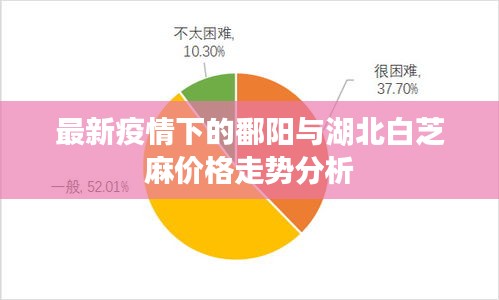 最新疫情下的鄱阳与湖北白芝麻价格走势分析