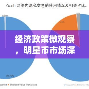 经济政策微观察,明星币市场深度分析,达世币实时价格洞悉!