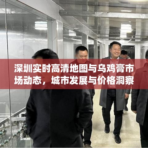 深圳实时高清地图与乌鸡膏市场动态,城市发展与价格洞察