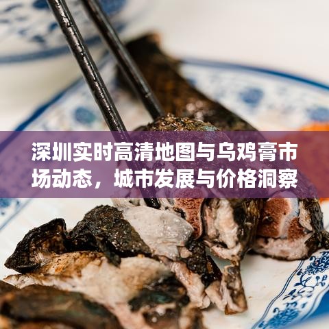 深圳实时高清地图与乌鸡膏市场动态,城市发展与价格洞察