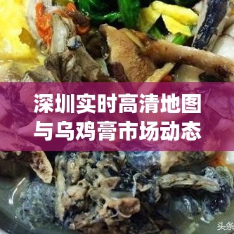 深圳实时高清地图与乌鸡膏市场动态,城市发展与价格洞察