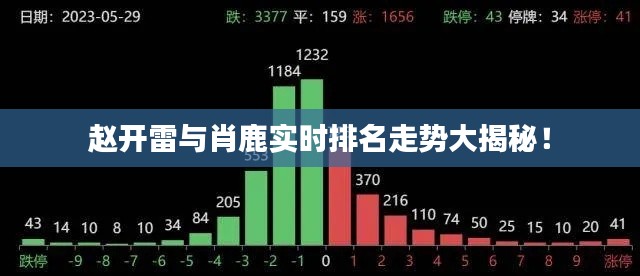 赵开雷与肖鹿实时排名走势大揭秘!
