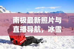 南极最新照片与直播导航，冰雪世界的探索新篇章