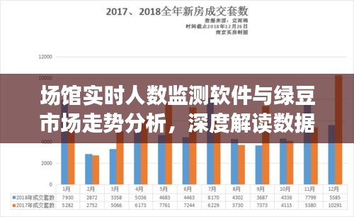 场馆实时人数监测软件与绿豆市场走势分析,深度解读数据背后的秘密
