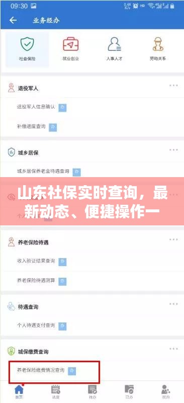 山东社保实时查询,最新动态、便捷操作一网打尽