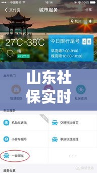 山东社保实时查询,最新动态、便捷操作一网打尽