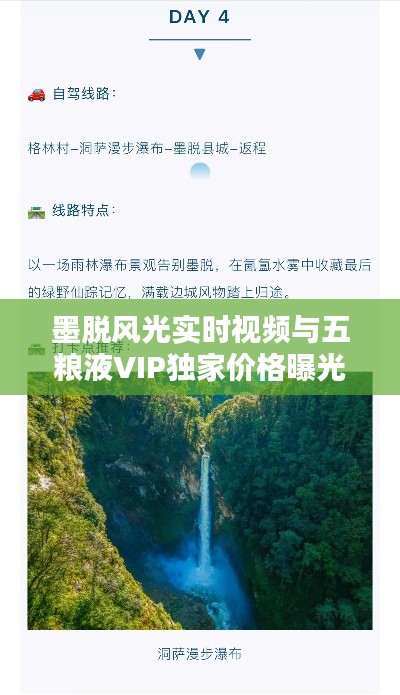 墨脱风光实时视频与五粮液VIP独家价格曝光