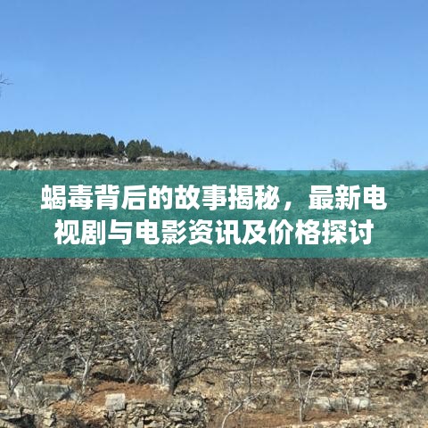 蝎毒背后的故事揭秘,最新电视剧与电影资讯及价格探讨