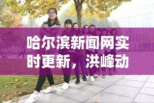 哈尔滨新闻网实时更新，洪峰动态与直播视频速递
