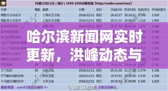 哈尔滨新闻网实时更新,洪峰动态与直播视频速递