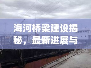 海河桥梁建设揭秘,最新进展与建桥时刻一网打尽!