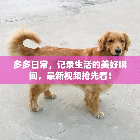 多多日常,记录生活的美好瞬间,最新视频抢先看!