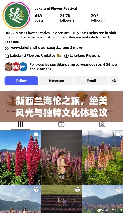 新西兰海伦之旅,绝美风光与独特文化体验攻略