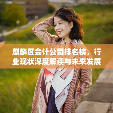 麒麟区会计公司排名榜，行业现状深度解读与未来发展趋势预测