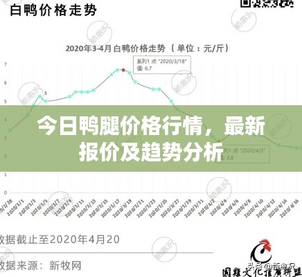 今日鸭腿价格行情，最新报价及趋势分析