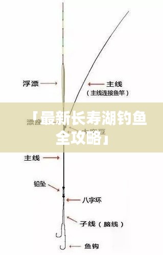 「最新长寿湖钓鱼全攻略」