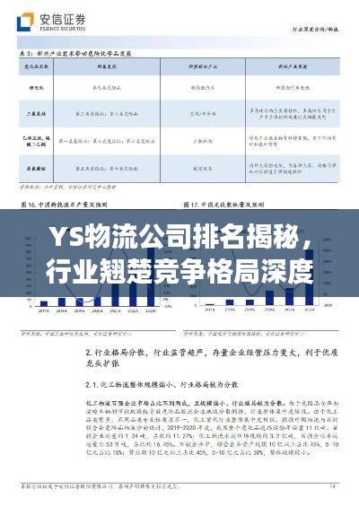YS物流公司排名揭秘，行业翘楚竞争格局深度解析