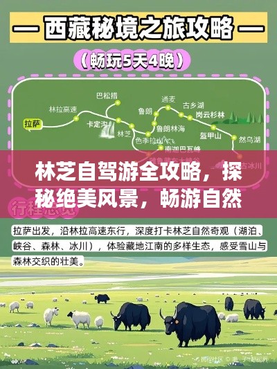 产品中心 第169页