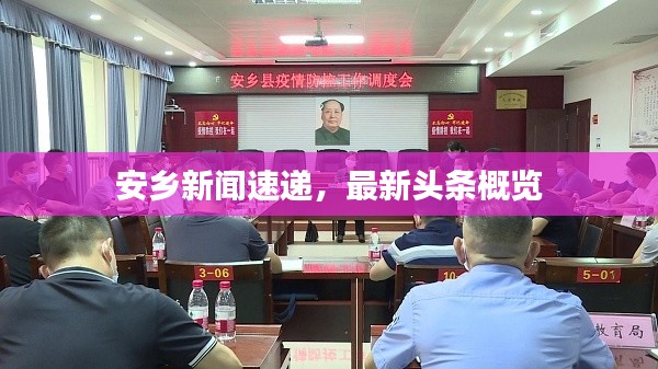安乡新闻速递，最新头条概览