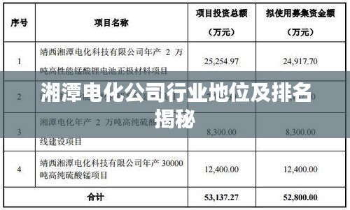 湘潭电化公司行业地位及排名揭秘