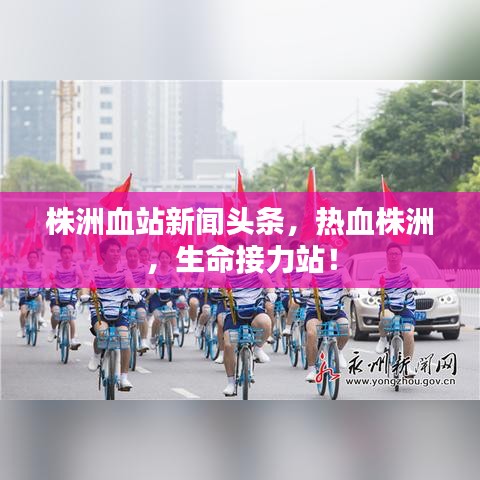 株洲血站新闻头条,热血株洲,生命接力站!