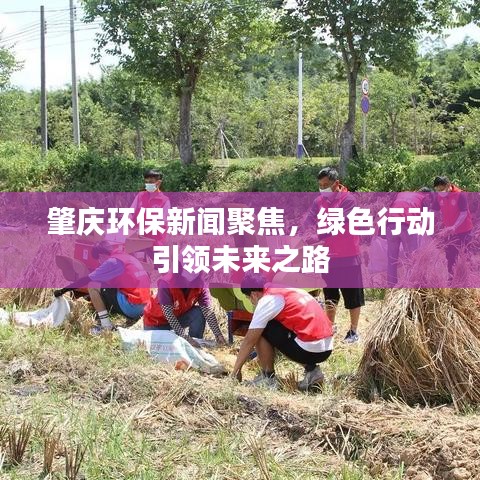 肇庆环保新闻聚焦，绿色行动引领未来之路