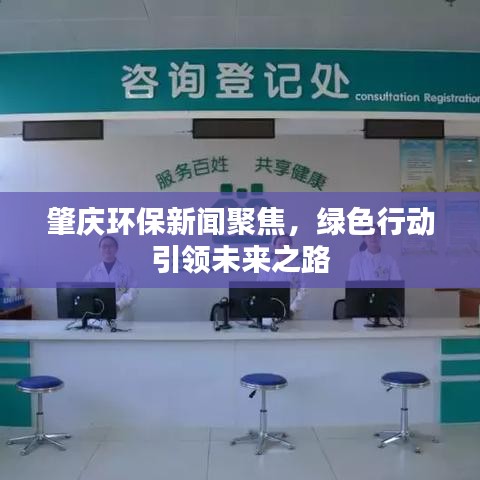 肇庆环保新闻聚焦,绿色行动引领未来之路