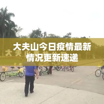 大夫山今日疫情最新情况更新速递
