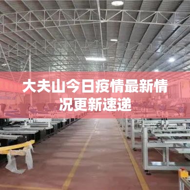大夫山今日疫情最新情况更新速递