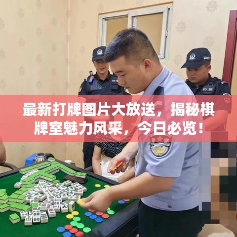 最新打牌图片大放送,揭秘棋牌室魅力风采,今日必览!