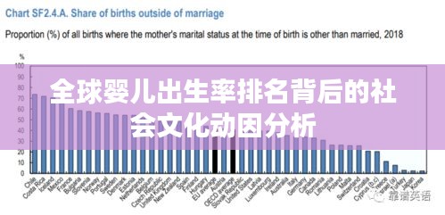 全球婴儿出生率排名背后的社会文化动因分析
