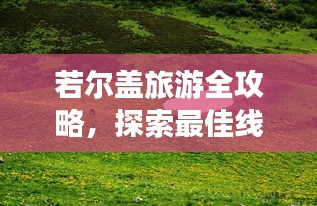 若尔盖旅游全攻略,探索最佳线路之旅
